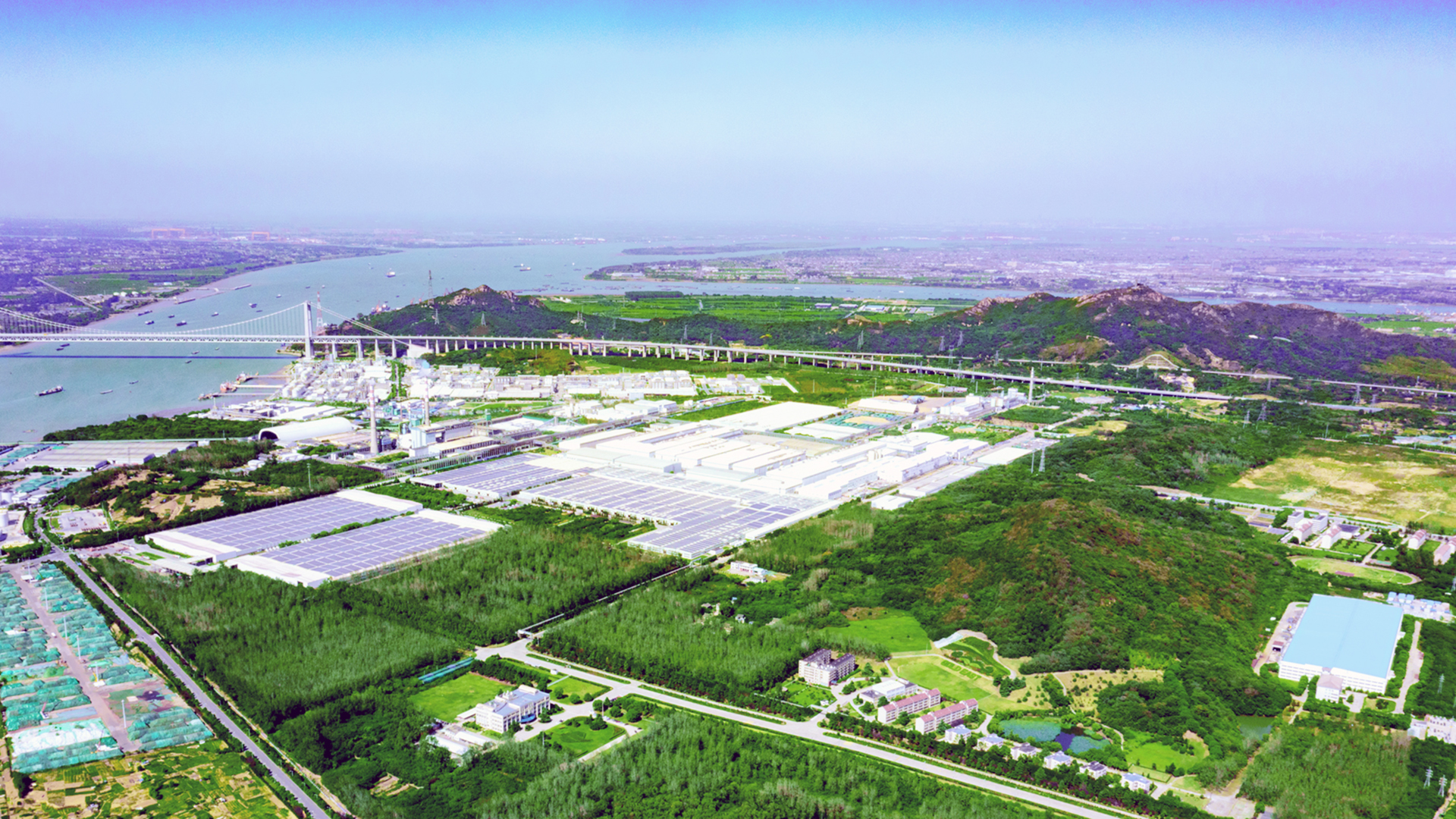 黄色网
纸业02.jpg