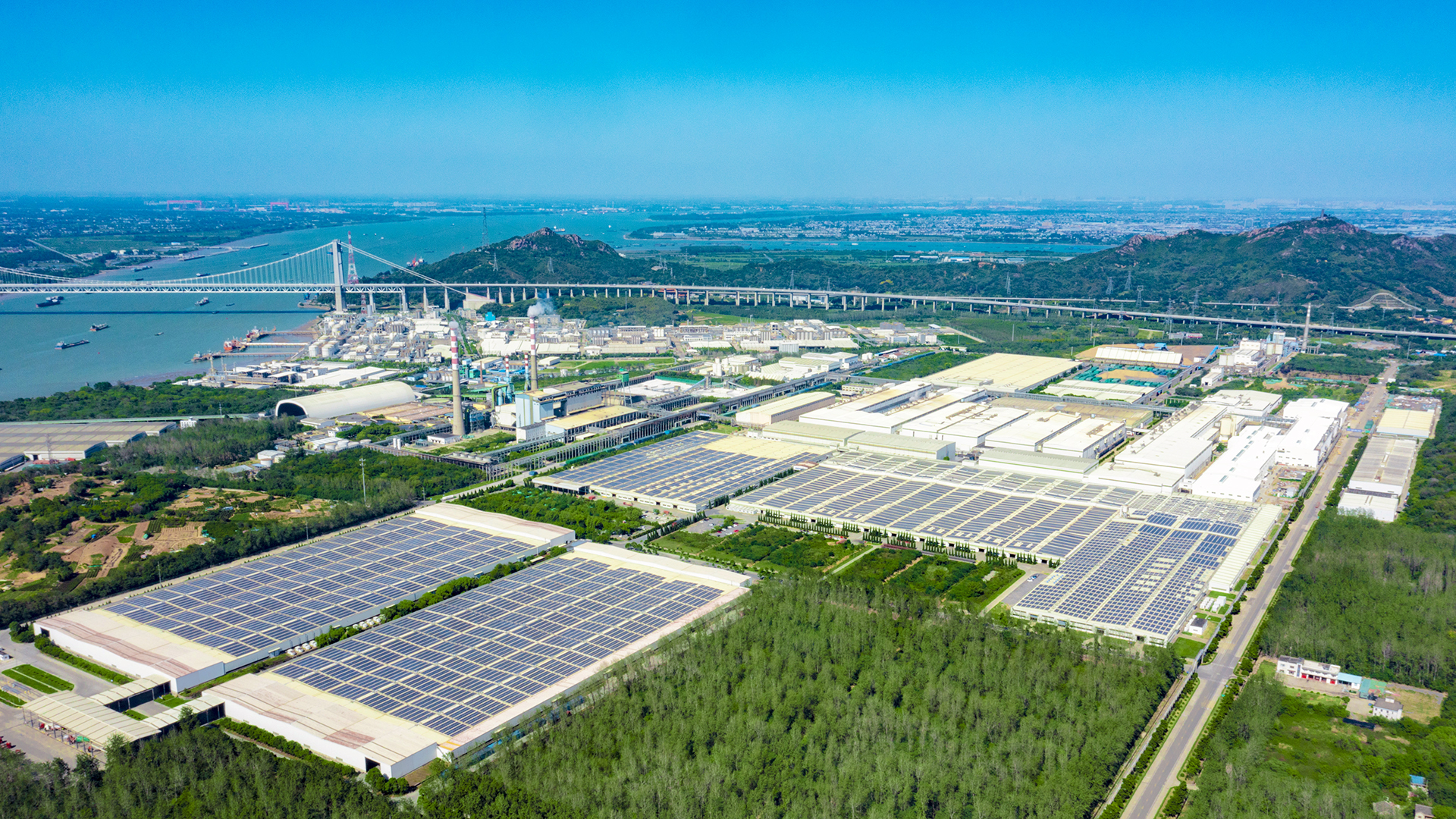 黄色网
全景.jpg